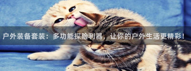 香港利记集团官网招聘