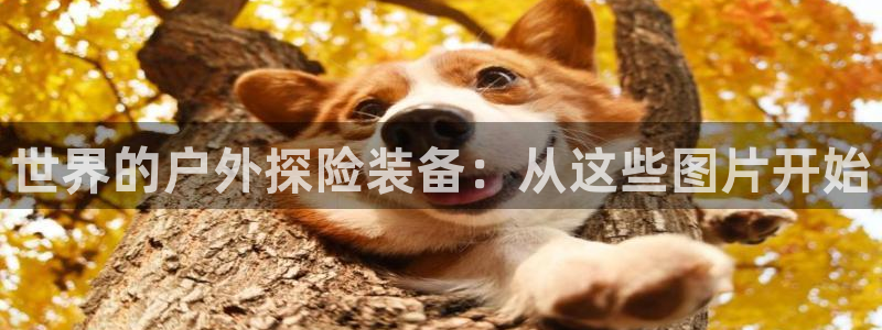 利记官网是什么