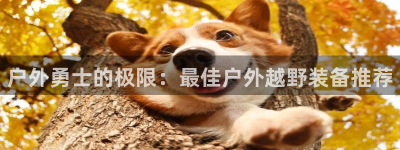 利记彩票官网wx678 com