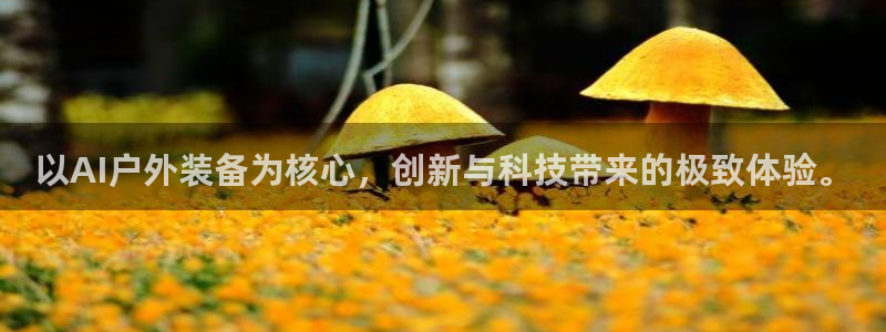 香港利记集团官网地址
