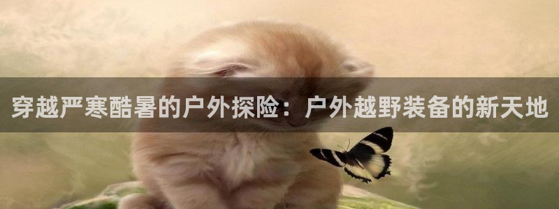 新利记官网