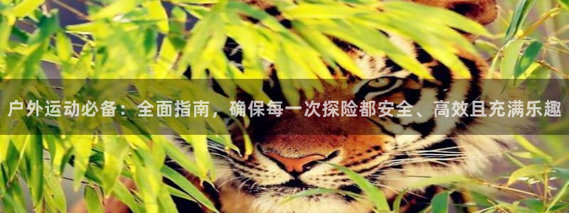 利记官网行业领导者