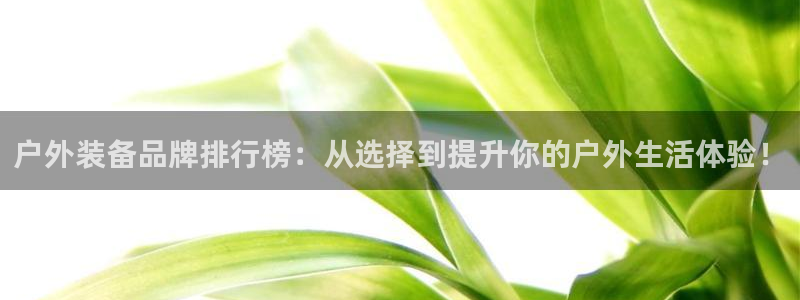 利记app官网