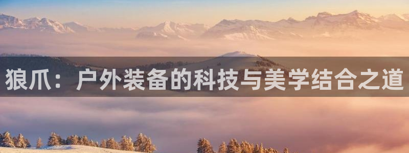 利记广告联盟官网