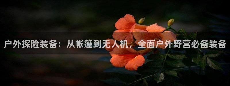 利记官网是真的吗