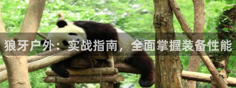 万利记唯一官网