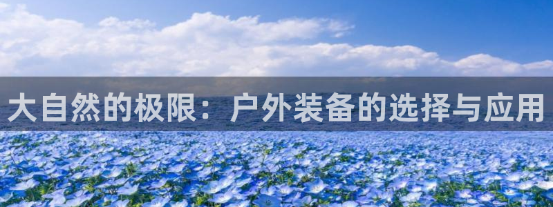 香港利记集团官网招聘