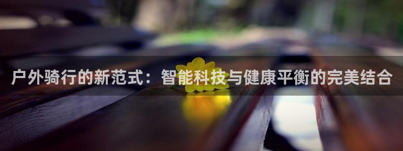 利记手机官网银河网