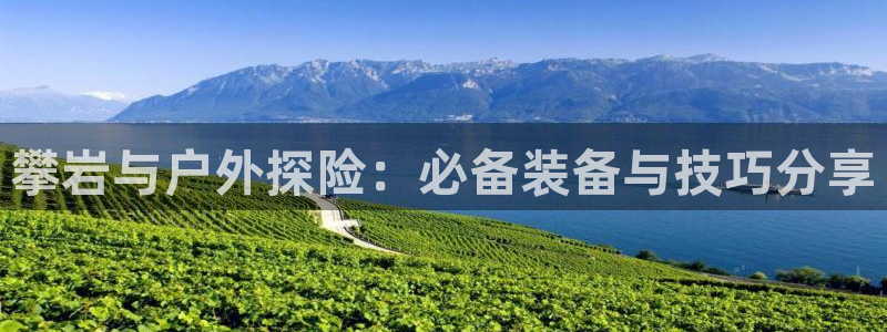 利记app官网真人游戏