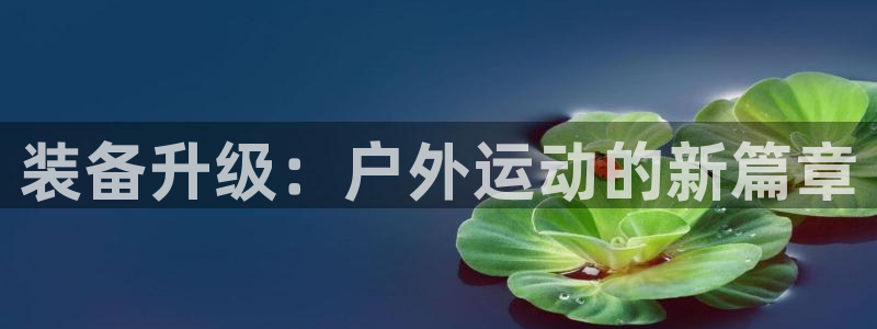 利记体育官网地址