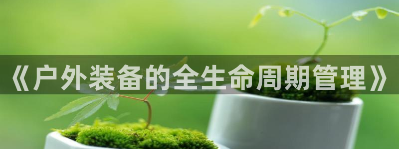 利记官网平台入口