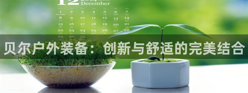 sbo利记体育官网注册