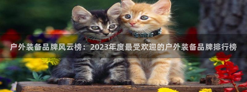 利记手机官网入口