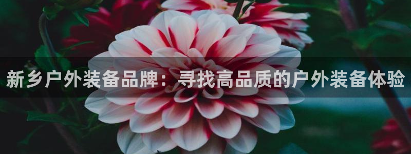 利记app官网入口