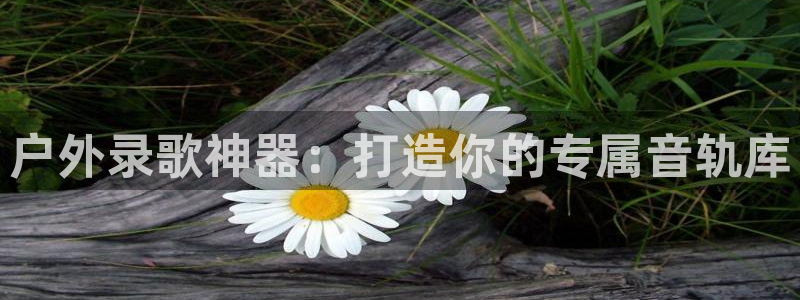 利记买球官网