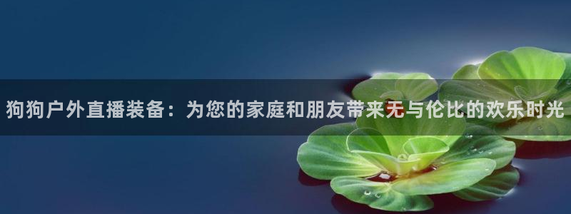 利记手机官网电子mg官方网站