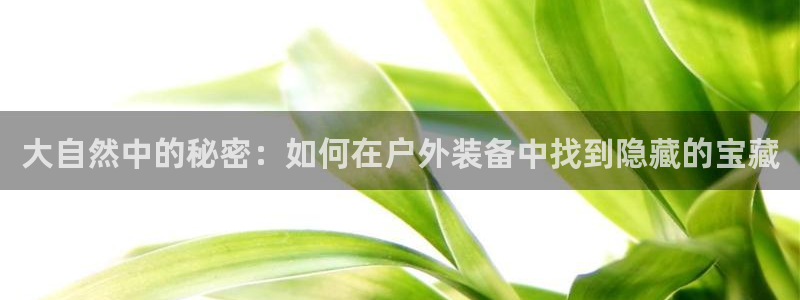 利记app官网