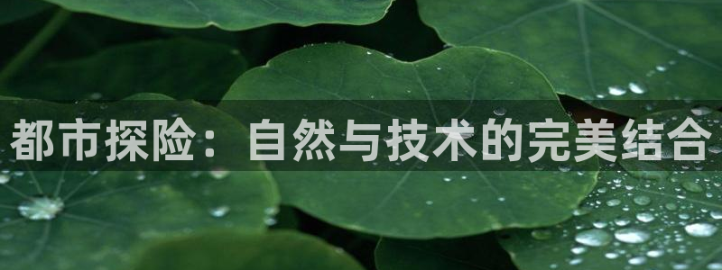 利记游戏官网