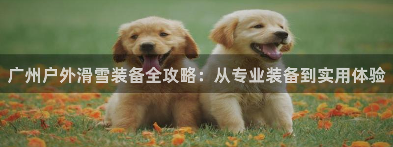 利记官网app下载