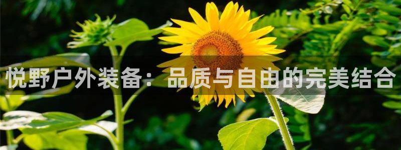 利记官网注册