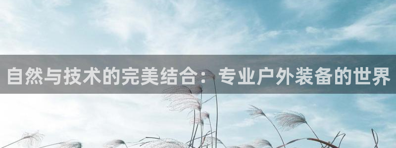 利记手机官网入口