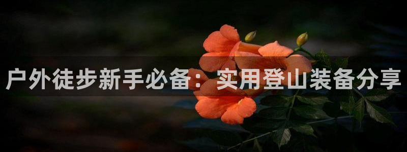 利记app官网真人游戏