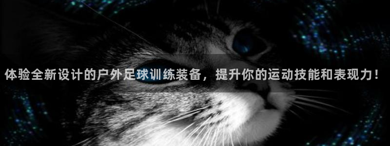 香港利记集团官网