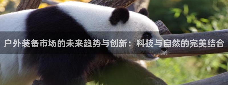 利记真正的官网是多少