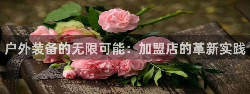 利记官网日亚运比