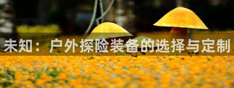 利记 利记官网