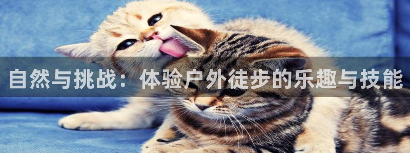 利记官网入口
