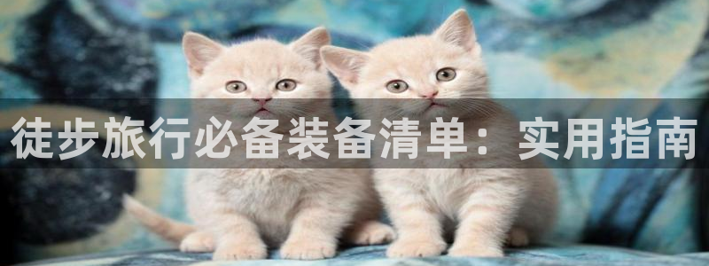 利记sbobet官网电脑版