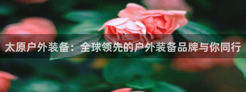 利记国际有限公司官网