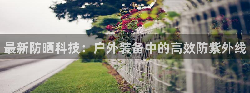利记sbobe官网