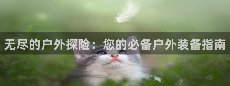 利记官网地址
