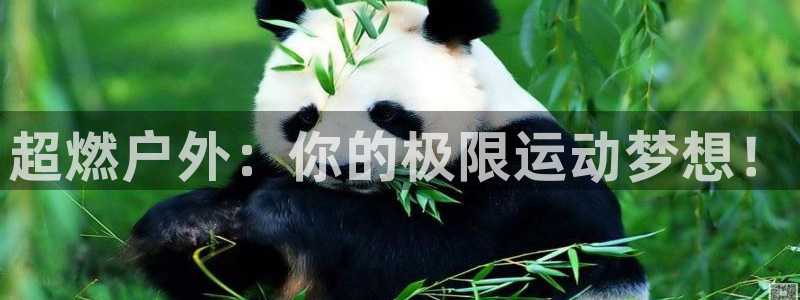 万利记菜单价格查询官网