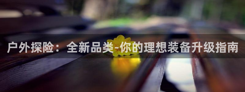 sbo利记体育官网注册