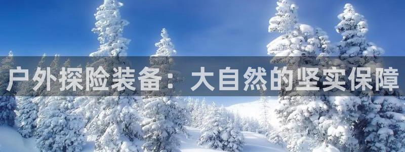 利记官网在线投注