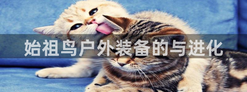 利记体育手机版官网