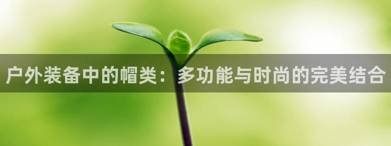 利记娱乐网唯一官网