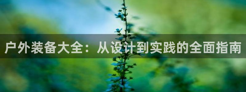 利记彩票平台官网