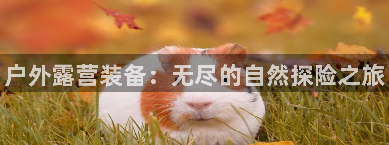 利记彩票网网址官网hd71