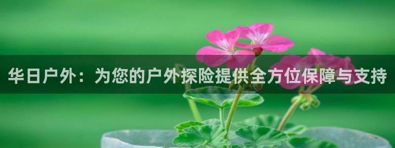 利记娱乐会员金钻官网