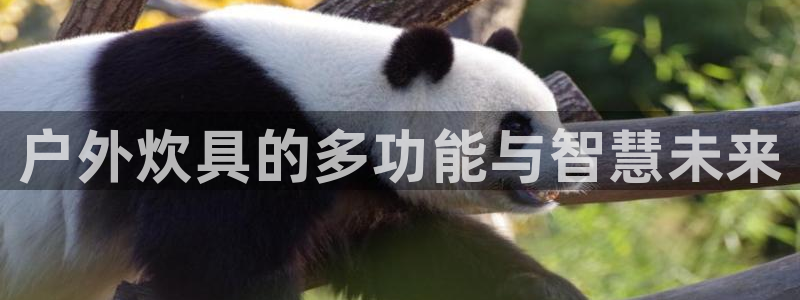 利记彩票网网址官网hd71