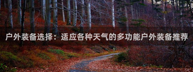 利记官网入口最新版