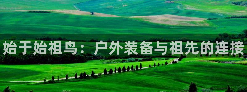 利记官网官方网站