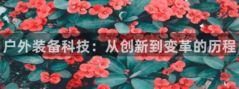 利记官网平台入口