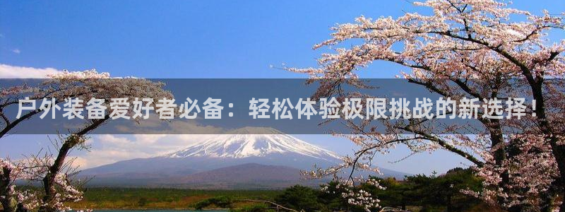 利记二手车行官网