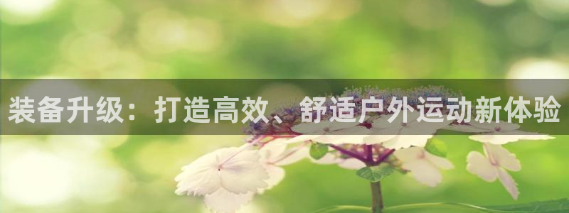 利记官网登录入口