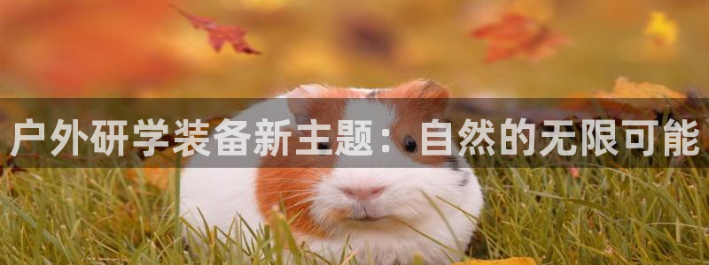 利记官网入口最新版